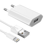 Avizar Chargeur secteur USB + câble iPod iPad Iphone - blanc